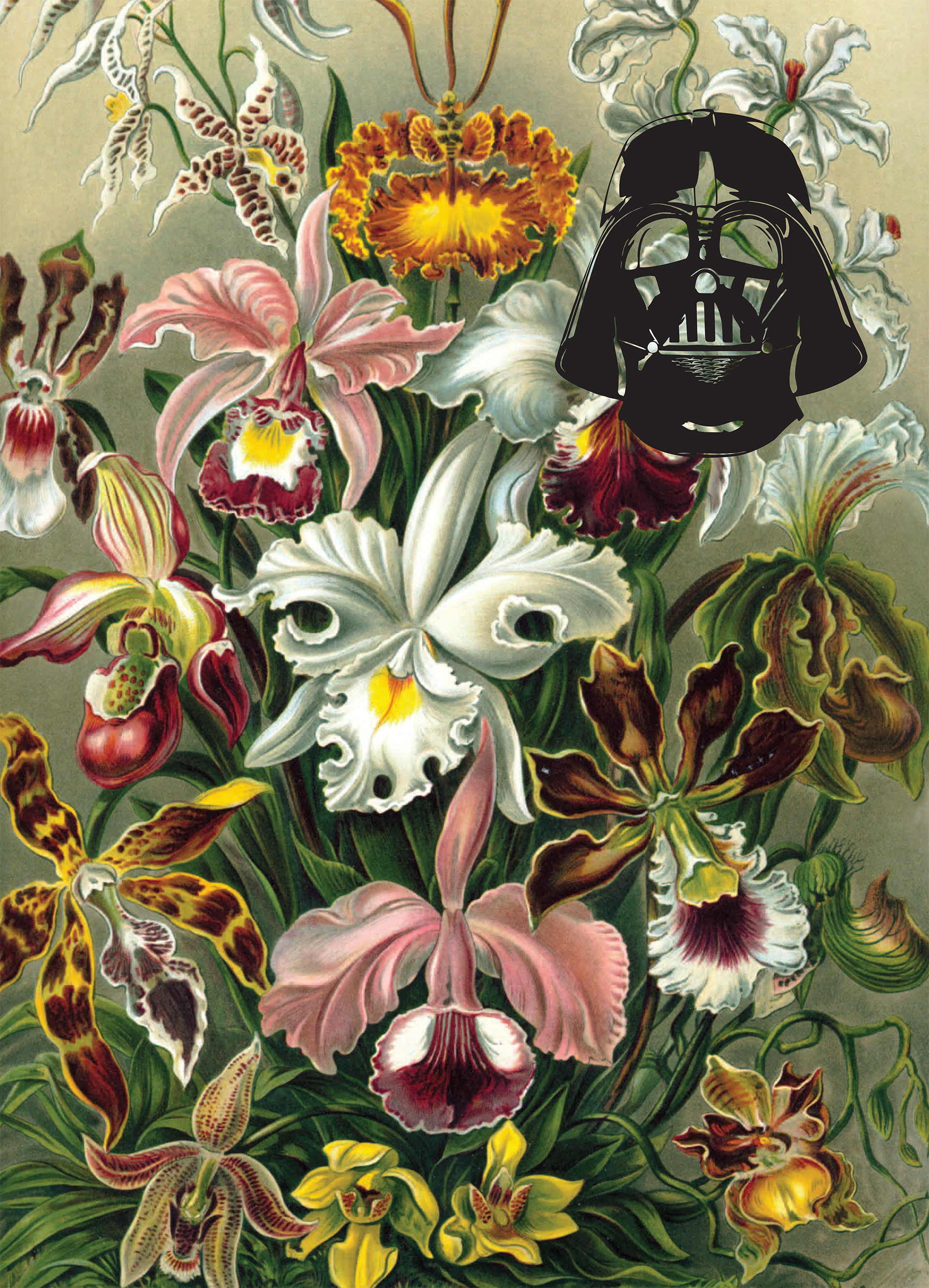 Dense botanical collage containing a hidden Darth Vader mask
