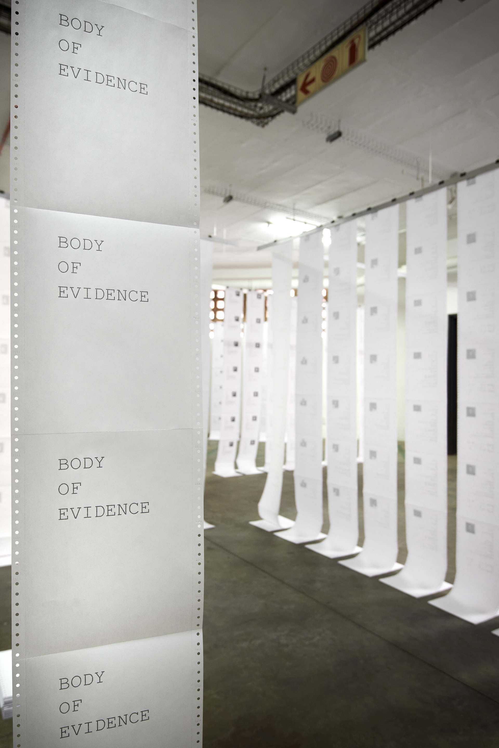 Tall ribbons of continuous stationery carrying Body of Evidence profiles